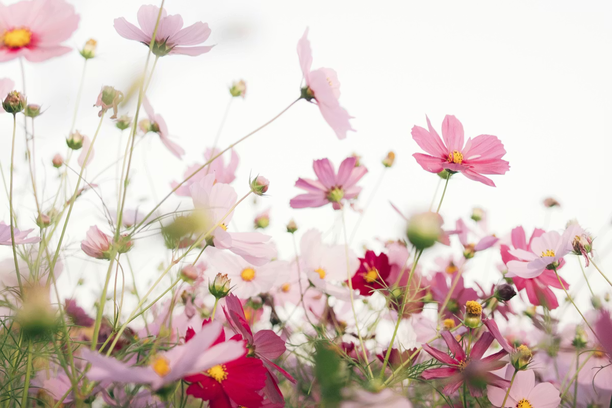 Read more about the article As tendências primavera/verão